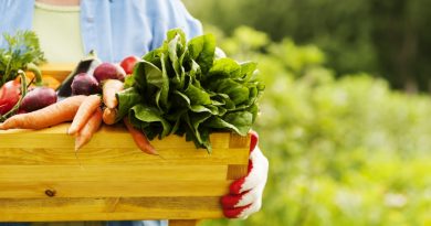 Organic Food Protects Against Cancer